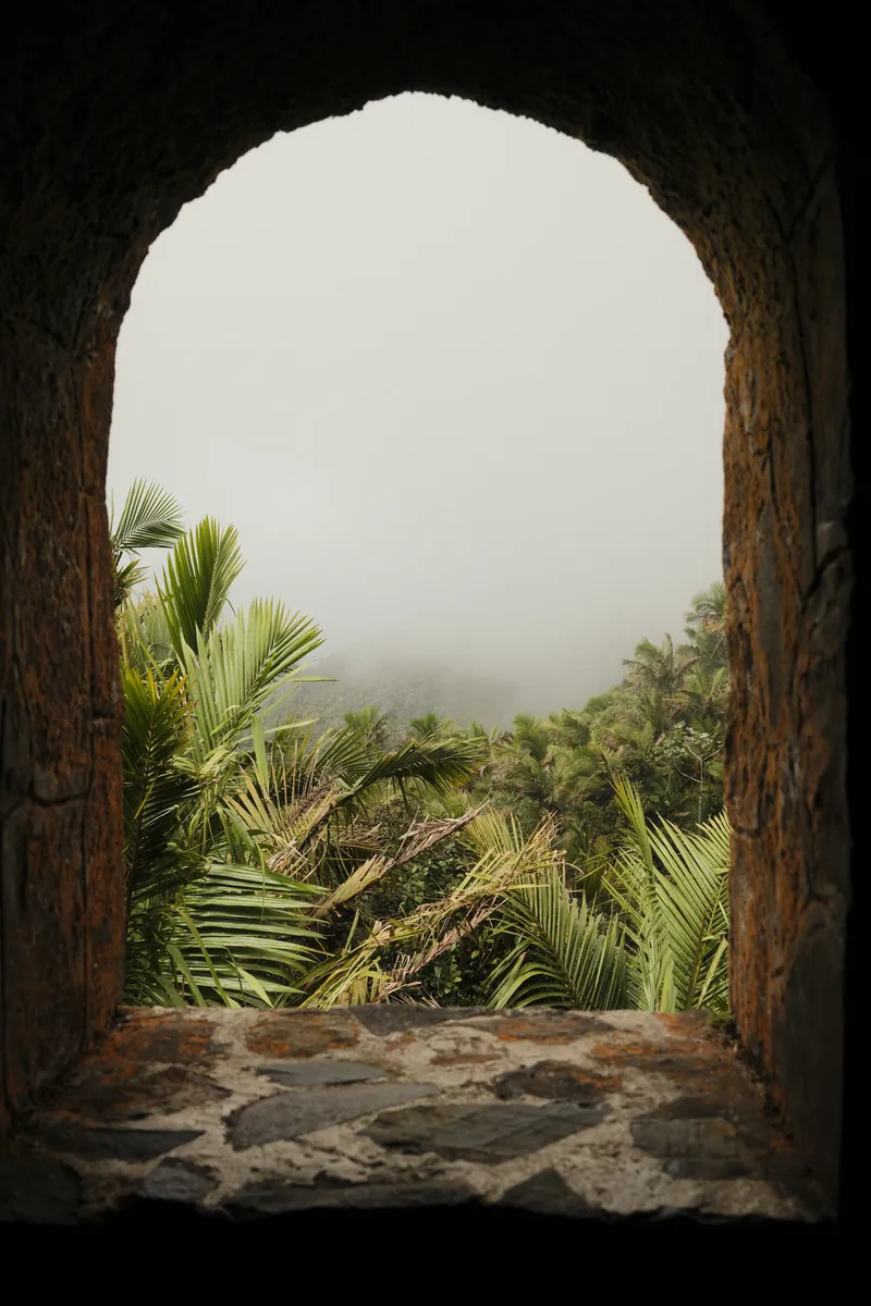 A stone arch window looking out on palms disappearing into fog